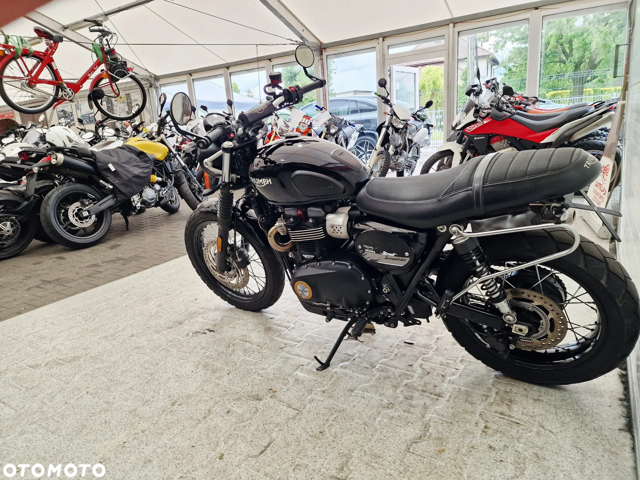 Triumph Scrambler - 22