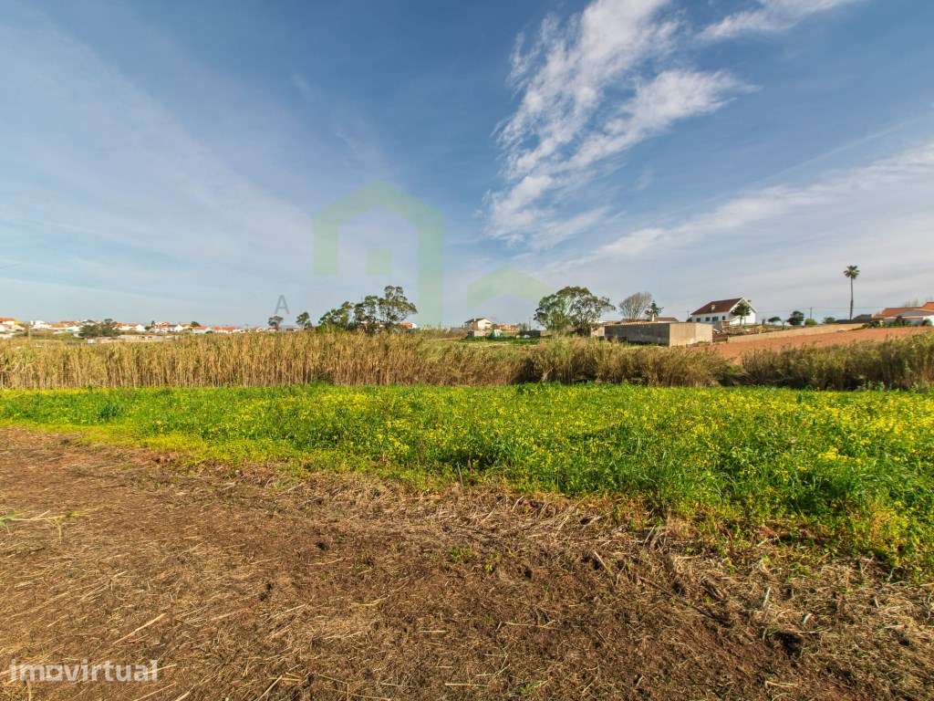 Vende Terreno - Ericeira 13 km, A Casa das Casas - Grande imagem: 4/13