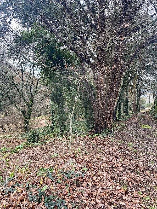 Terreno  para venda - Grande imagem: 5/6