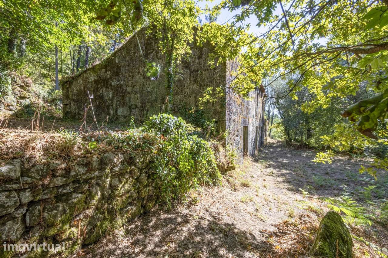 Quinta com 2 Hectares e Casa em Pedra para Recuperar em Gomide, Vila V - Grande imagem: 4/27