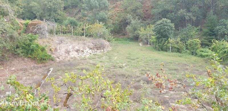 Quintinha terreno jazente Amarante - Grande imagem: 5/11