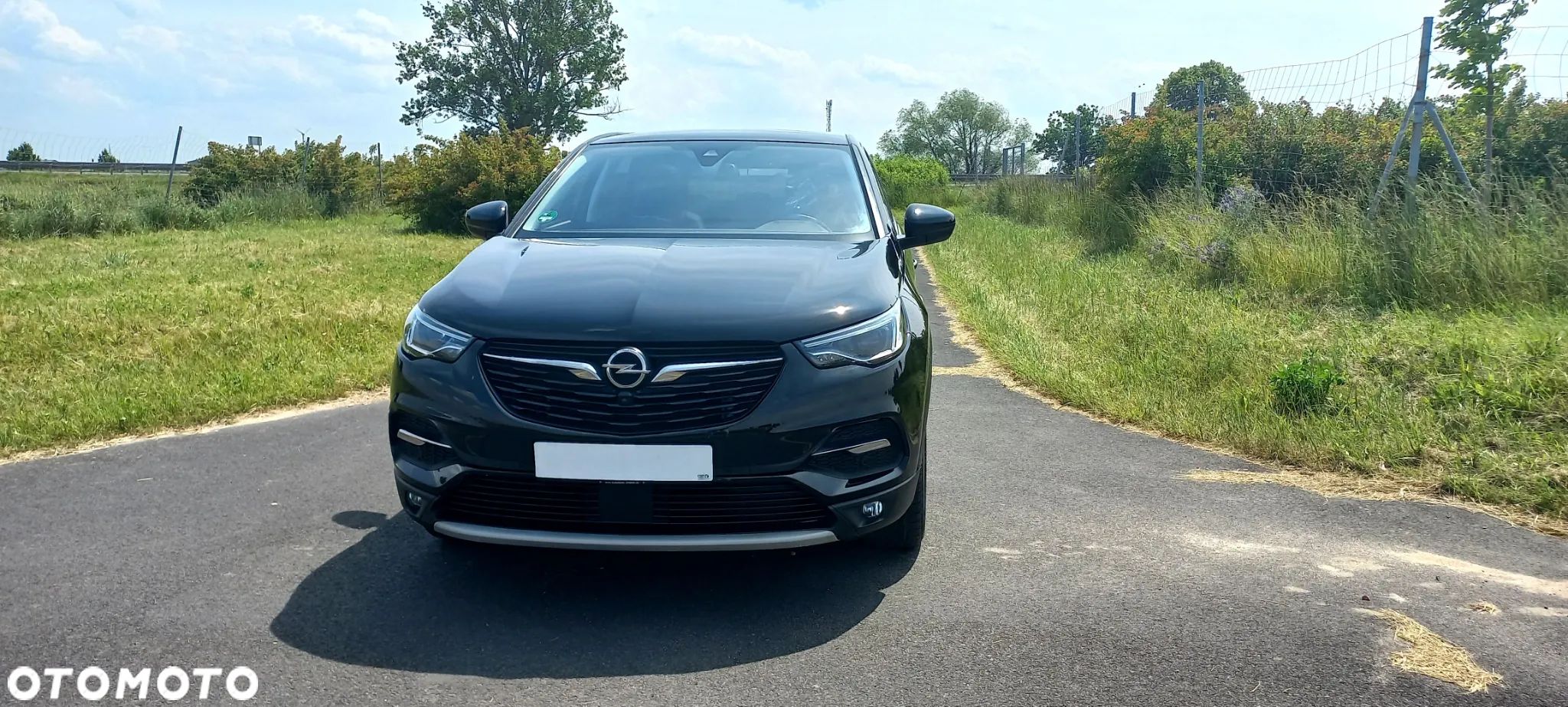 Opel Grandland X 1.5 D Start/Stop Ultimate - 1