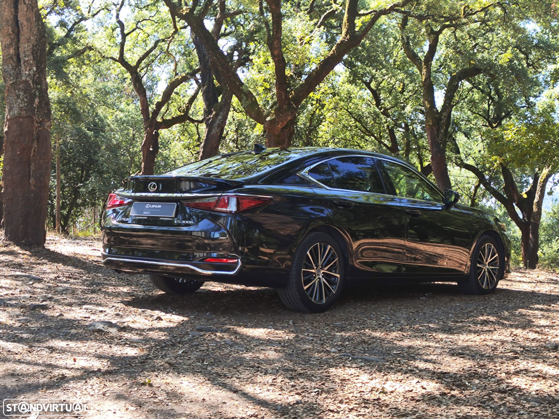 Lexus ES 300h Special Edition - 5