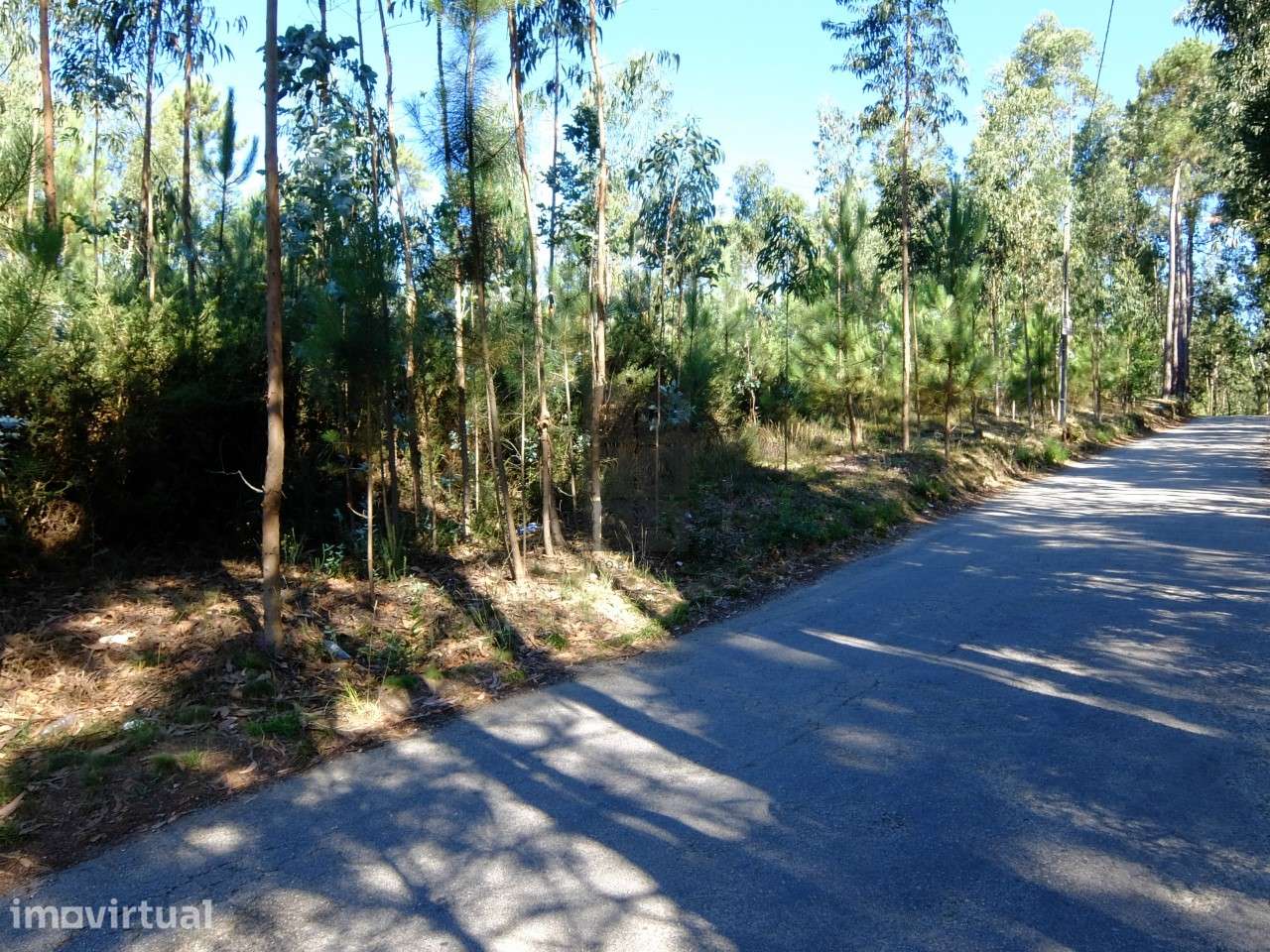 Terreno  Venda em Ossela,Oliveira de Azeméis - Grande imagem: 3/5