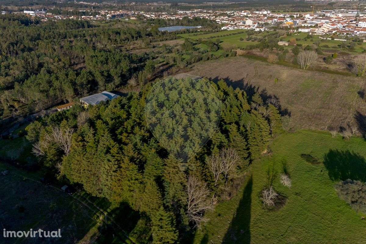 Terreno  para venda - Grande imagem: 3/13