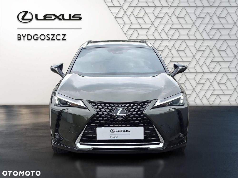 Lexus UX 250h GPF Business 2WD - 2