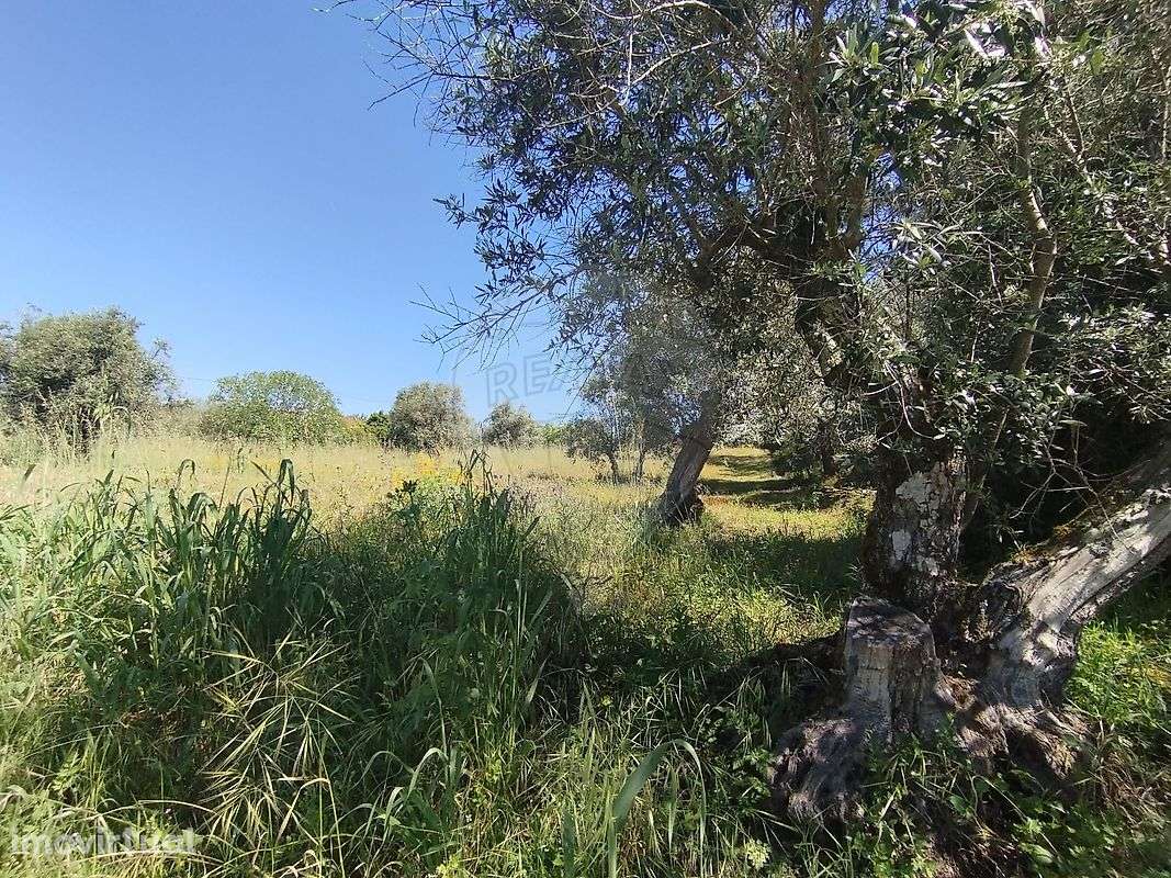 Terreno  para venda - Grande imagem: 2/3