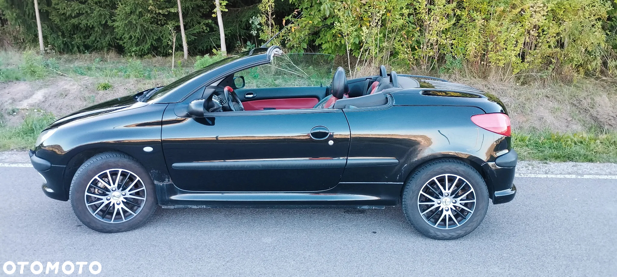 Peugeot 206 CC 1.6 - 10