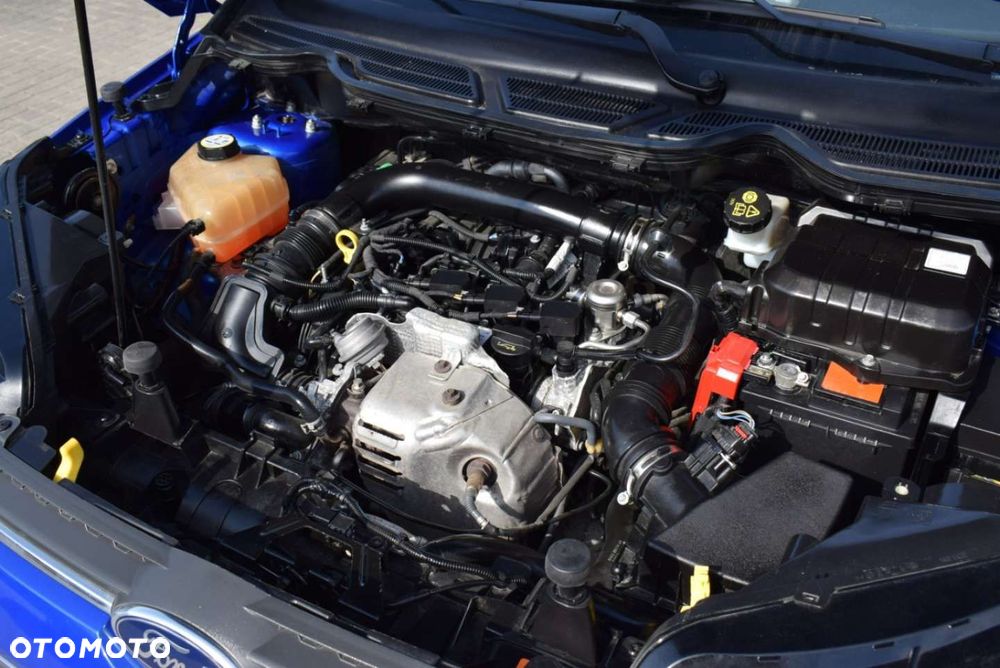 Ford EcoSport - 14