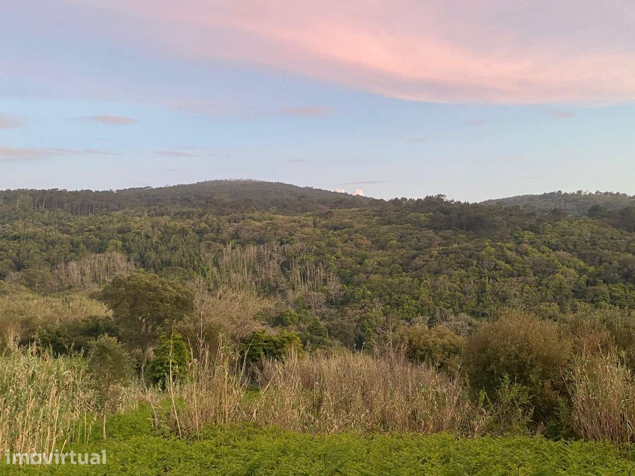 Terreno Rustico com Tiny House vista Serra e Mar - Grande imagem: 5/7