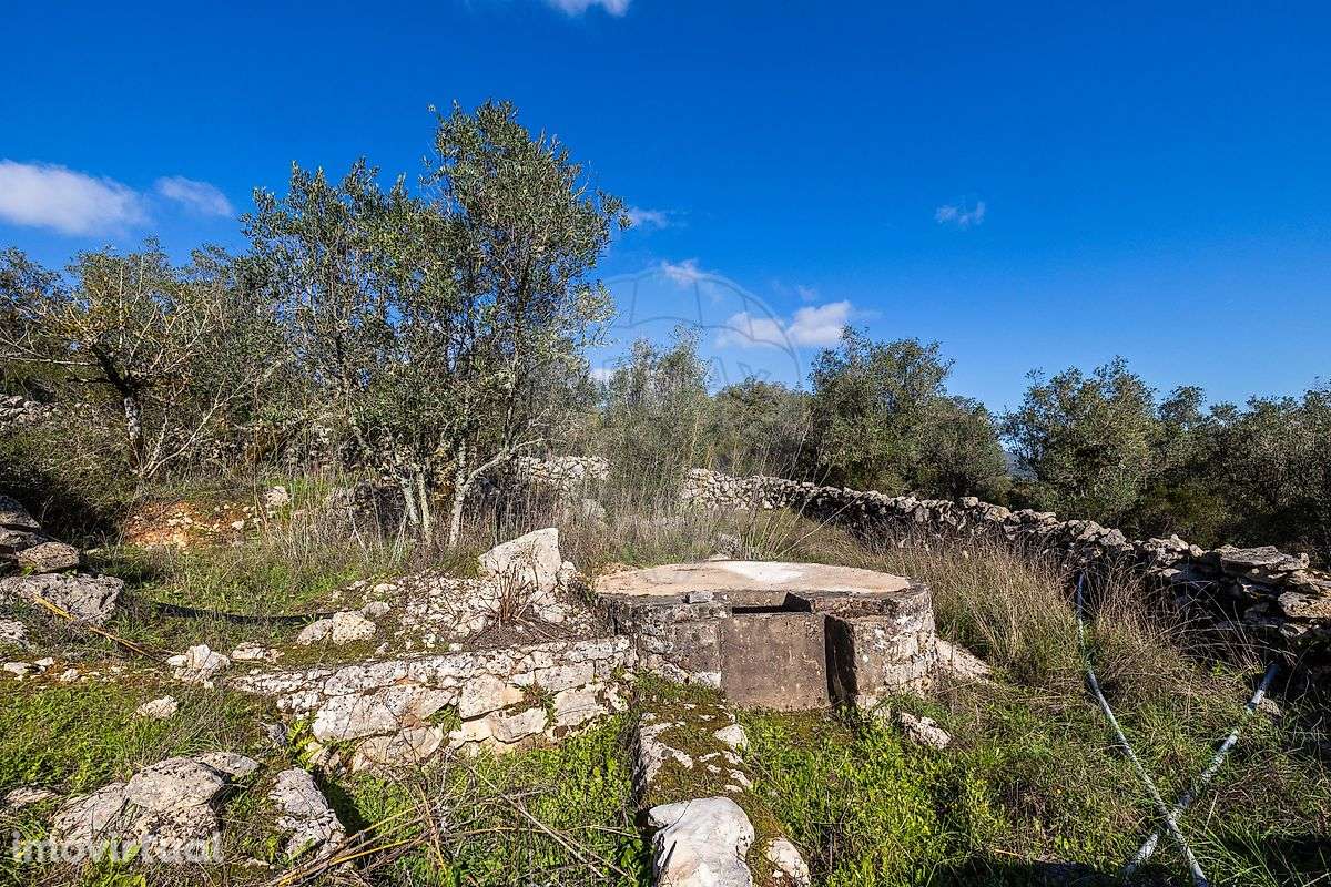 Moradia T3 para venda - Grande imagem: 5/29