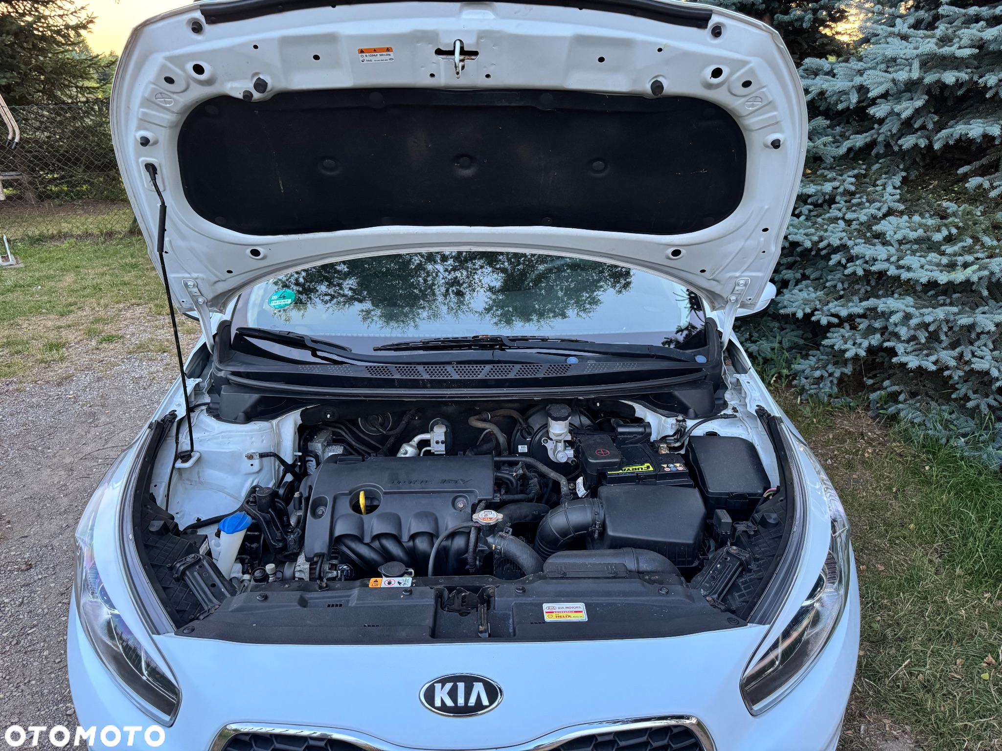 Kia Ceed - 10