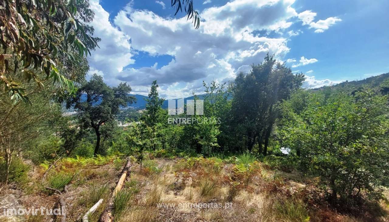 Venda de terreno com 4950m², Guilhadeses, Arcos de Valdevez - Grande imagem: 4/30