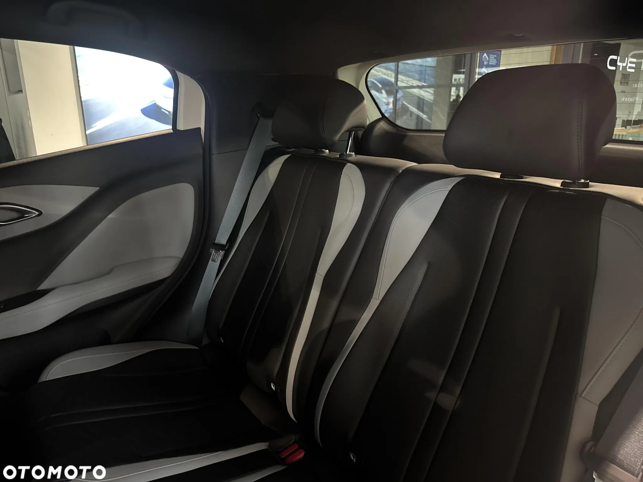 BYD Dolphin Mini - 16
