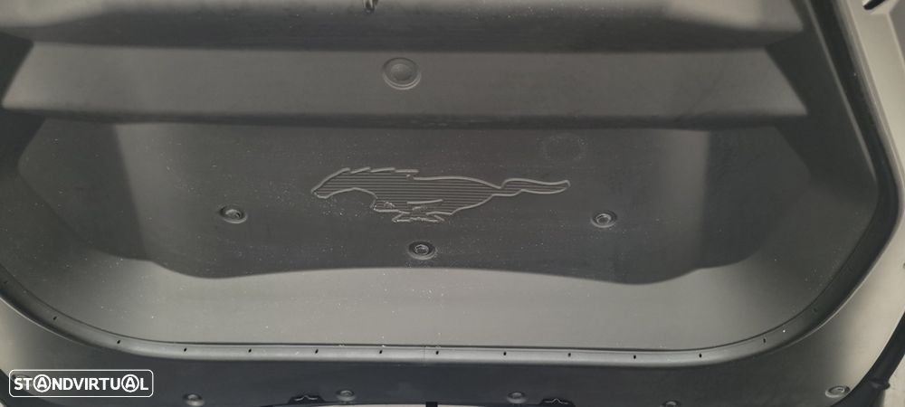 Ford Mustang Mach-E Standard - 52