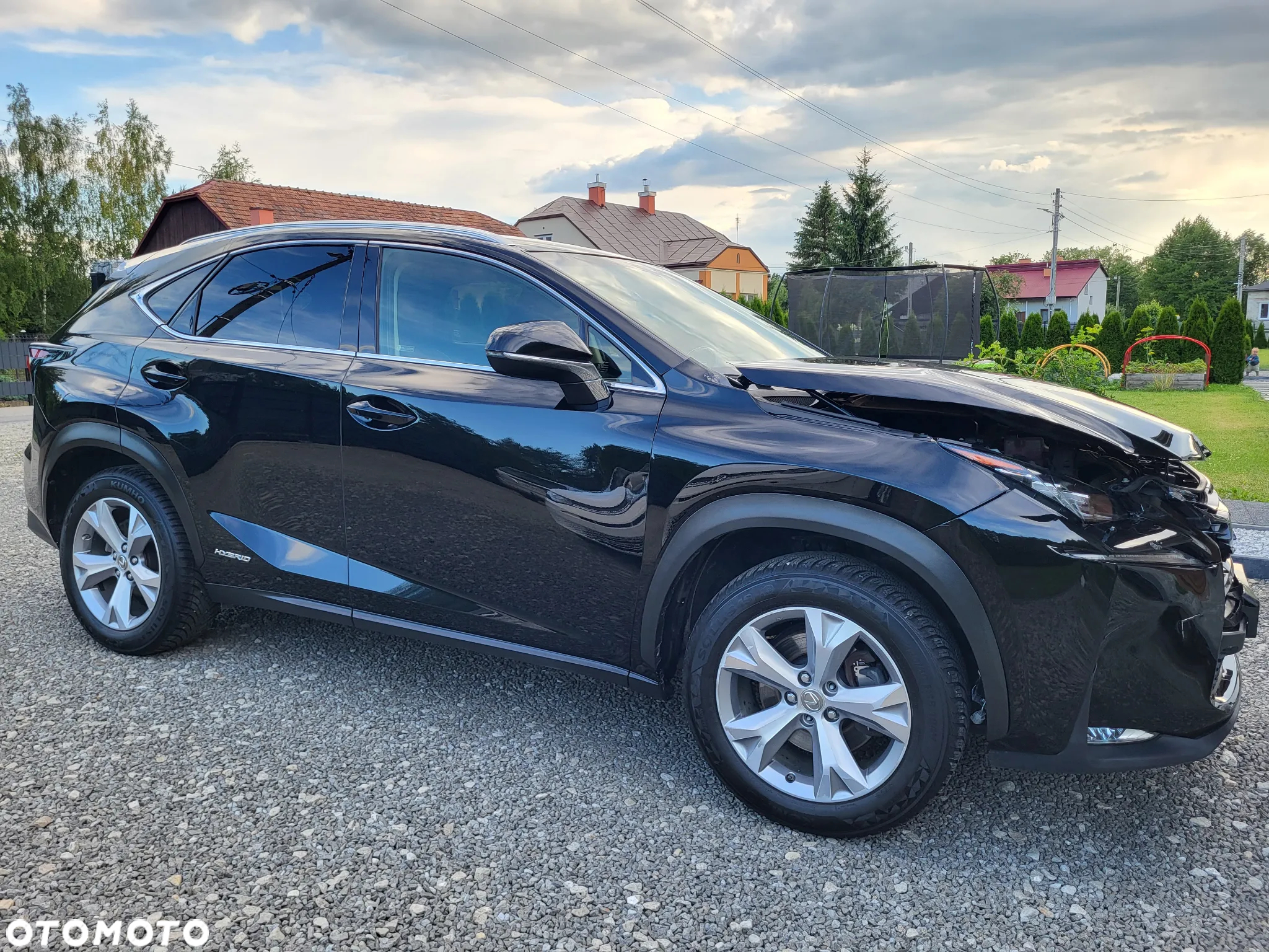 Lexus NX 300h Business Edition - 6