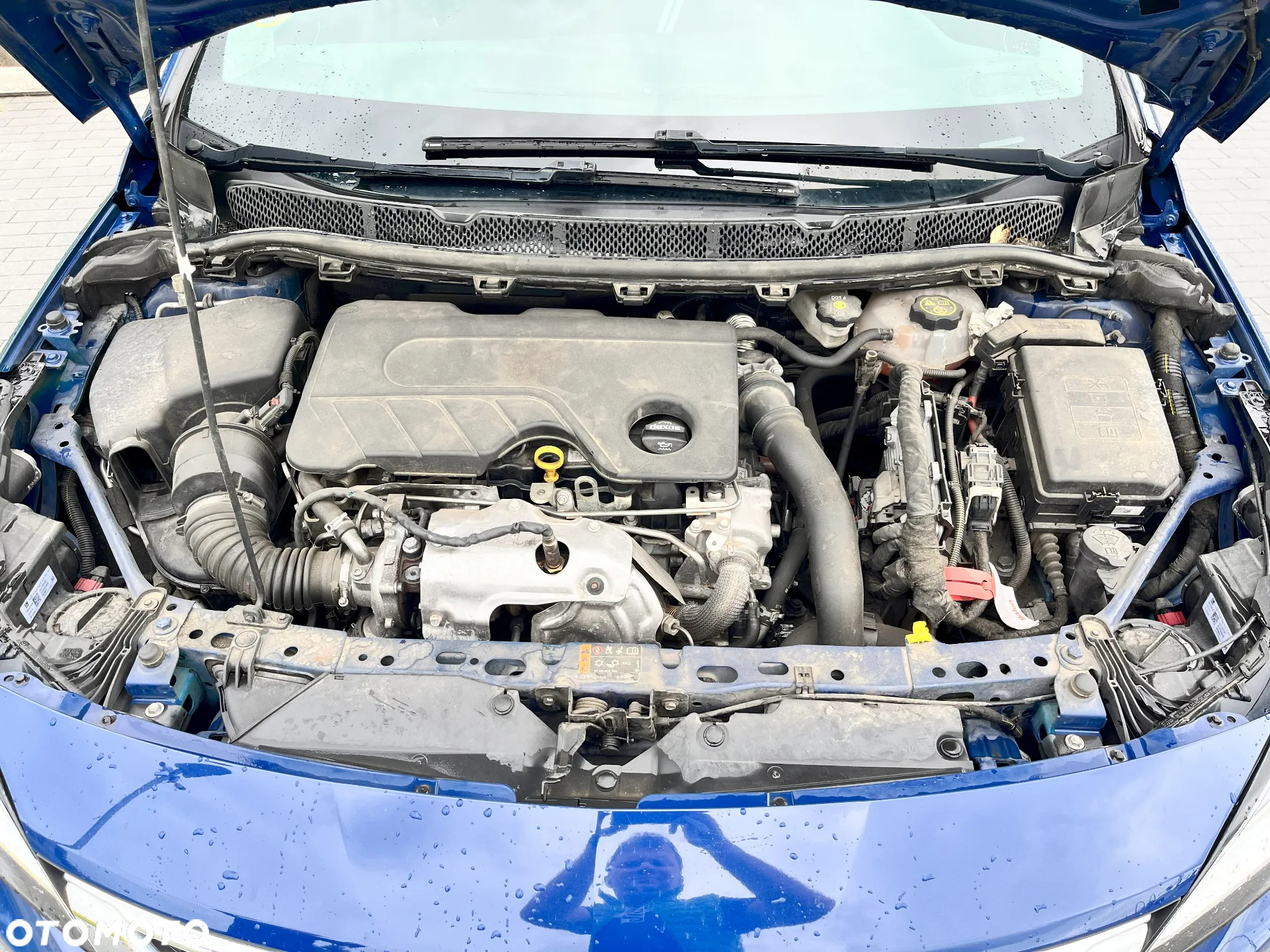Opel Astra V 1.6 CDTI Dynamic - 13