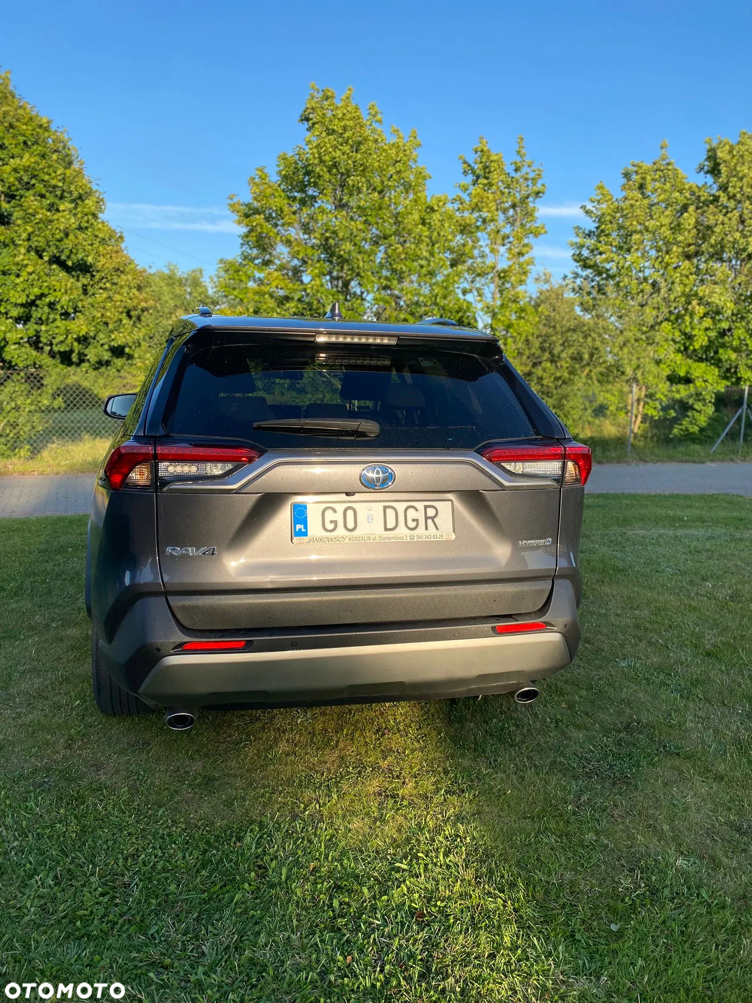 Toyota RAV4 2.5 Hybrid Active 4x2 - 4