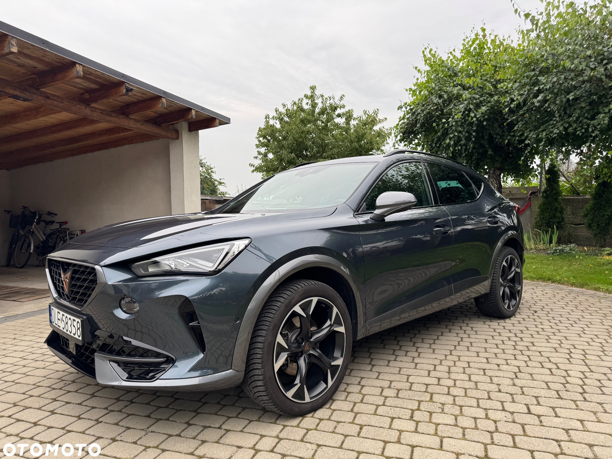 Cupra Formentor 2.0 TDI 4Drive DSG - 9