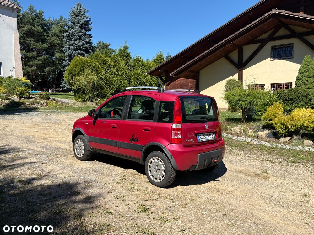 Fiat Panda 1.2 4x4 Classic - 5