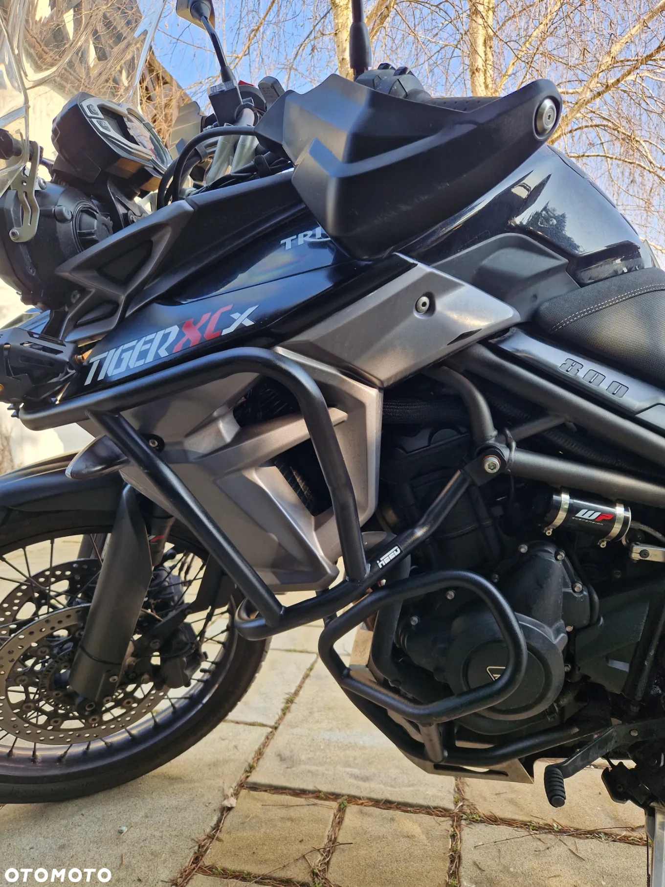 Triumph Tiger - 15