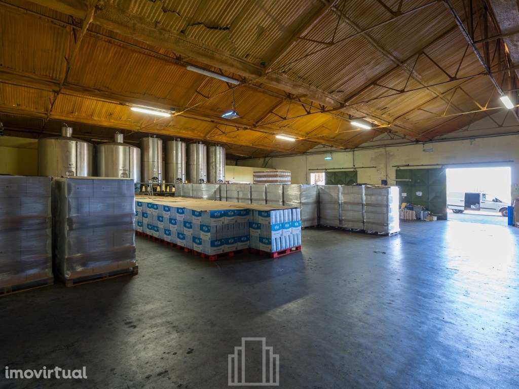 Armazém - Avanca - Grande imagem: 5/12