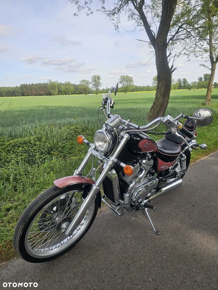 Suzuki Intruder - 9