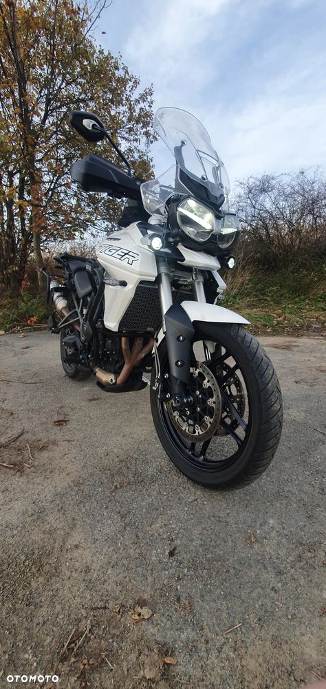 Triumph Tiger - 7