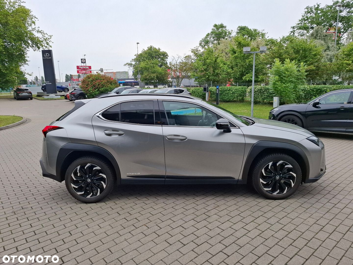 Lexus UX 250h GPF F Impression 2WD - 6