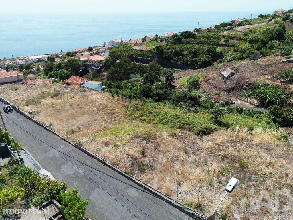 Terreno para construção em Estreito da Calheta - Grande imagem: 4/8