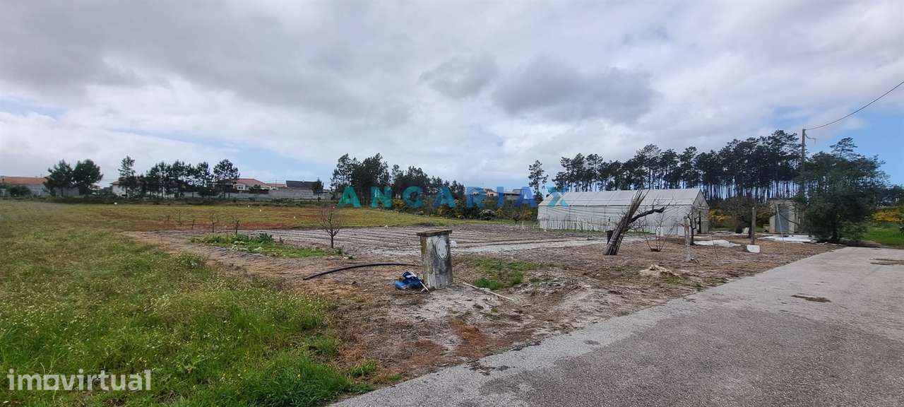 ANG1038 - Terreno para Venda em Fonte Cova, Monte Redondo, Leiria - Grande imagem: 5/16