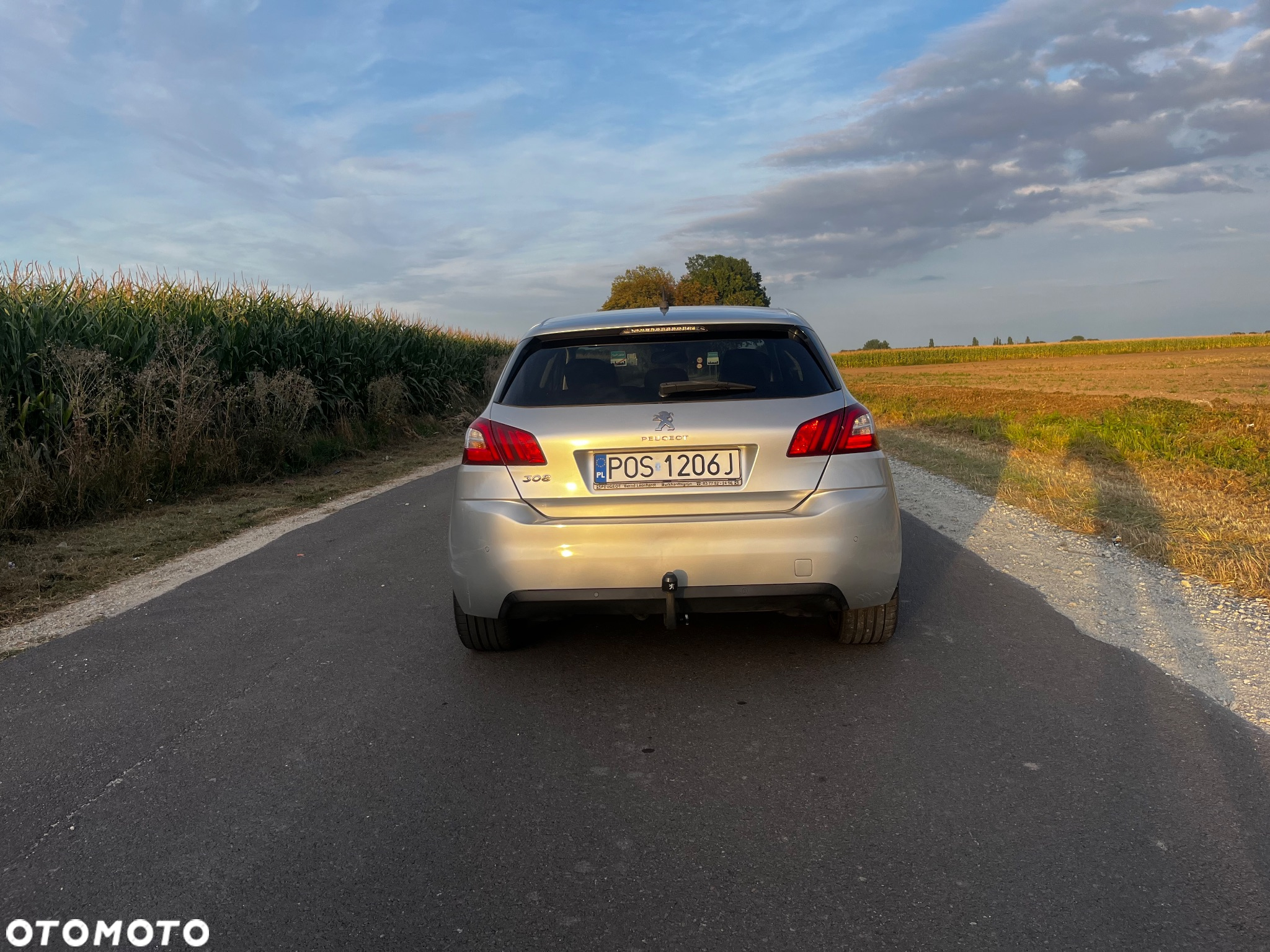 Peugeot 308 1.6 e-HDi Allure S&S - 2