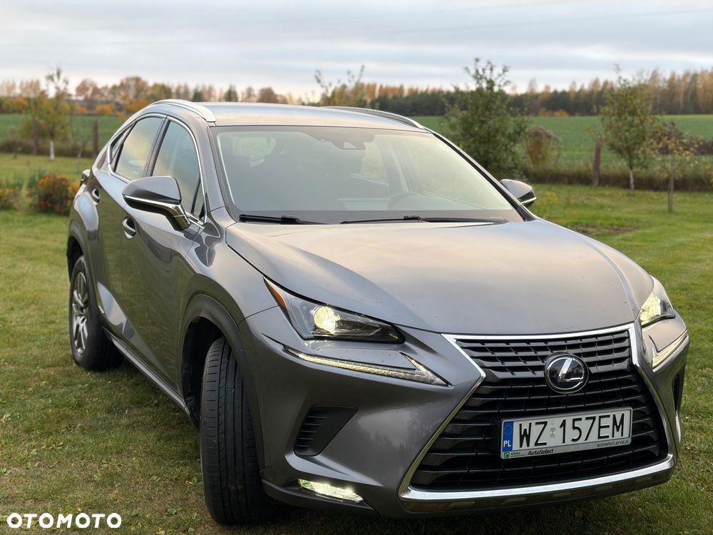 Lexus NX - 3