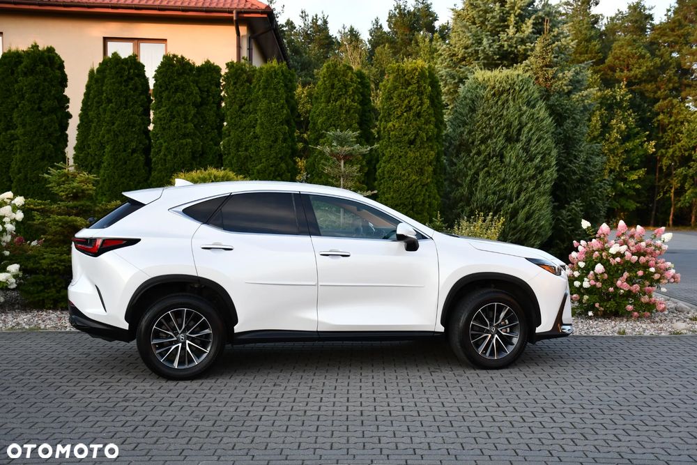 Lexus NX - 17