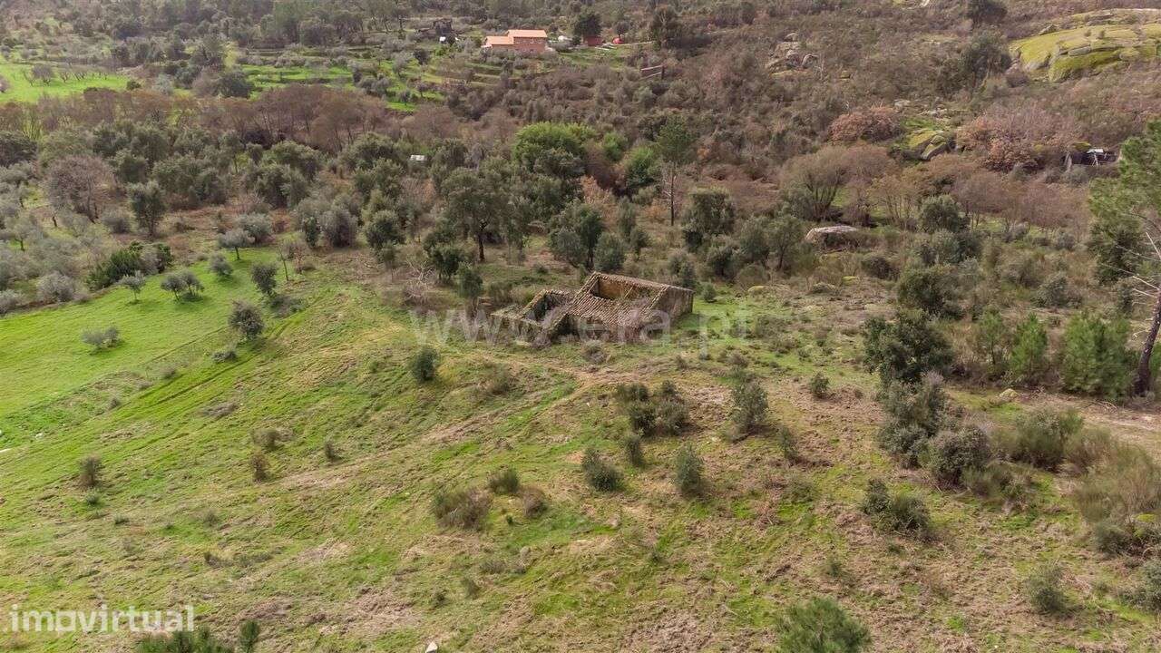 Quinta T1 / Fundão, Vale Prazeres - Grande imagem: 2/16