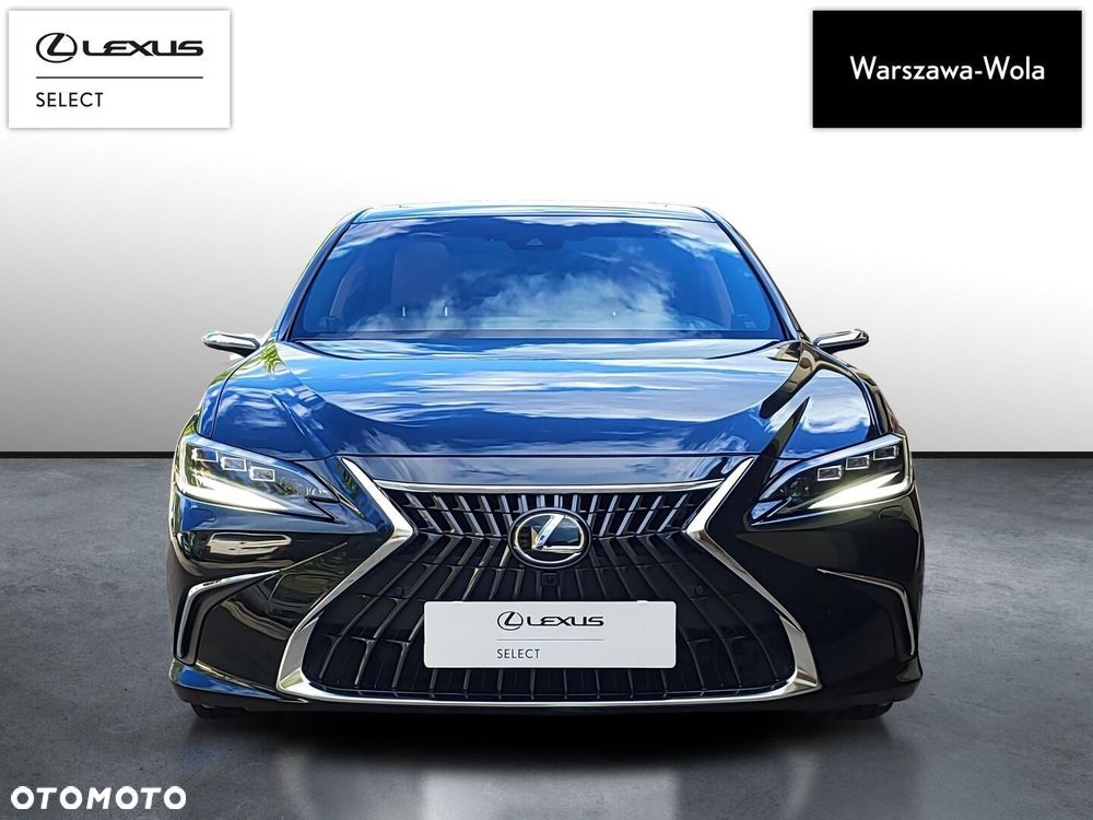 Lexus ES 300h Omotenashi - 10