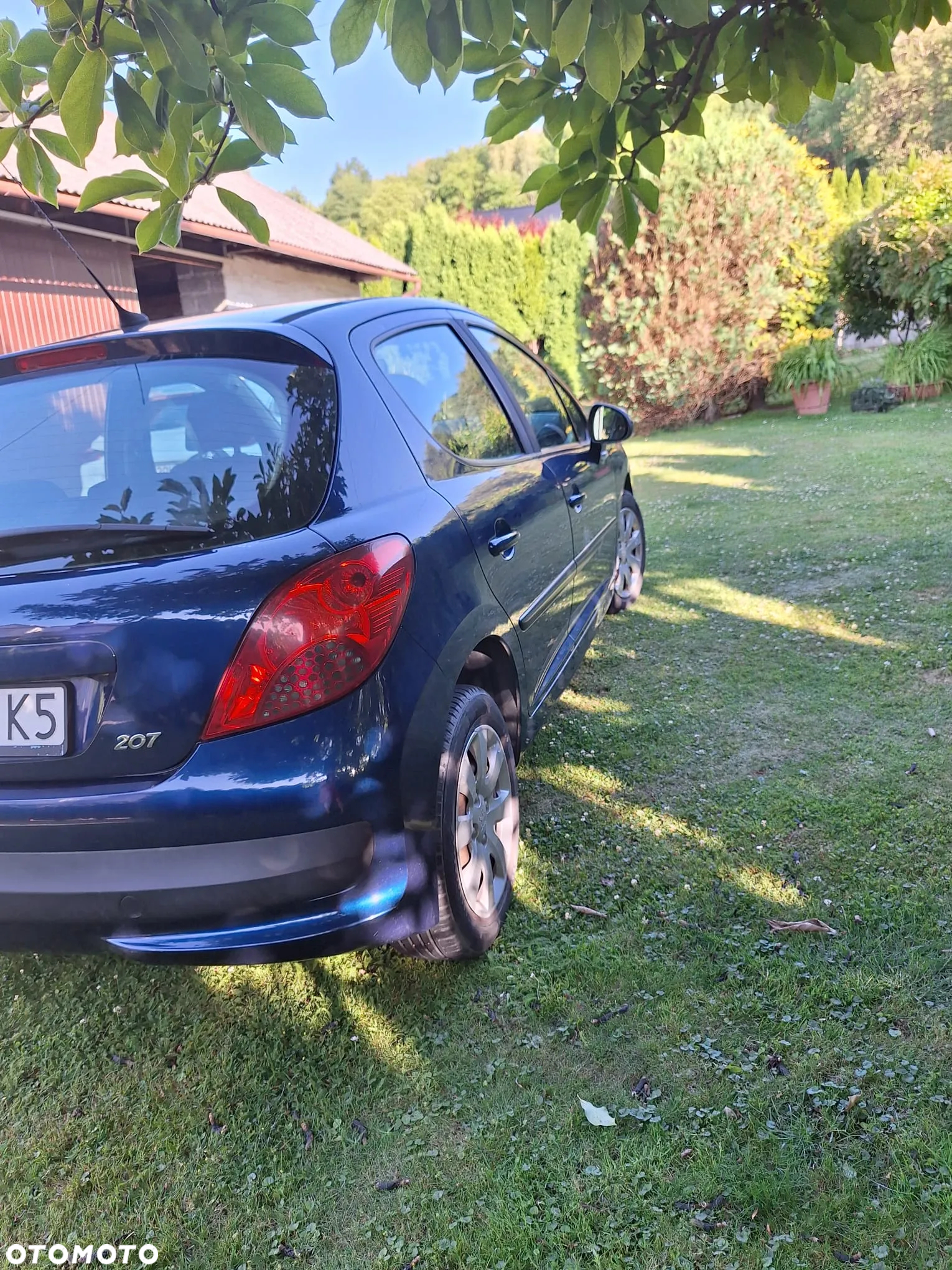Peugeot 207 - 5