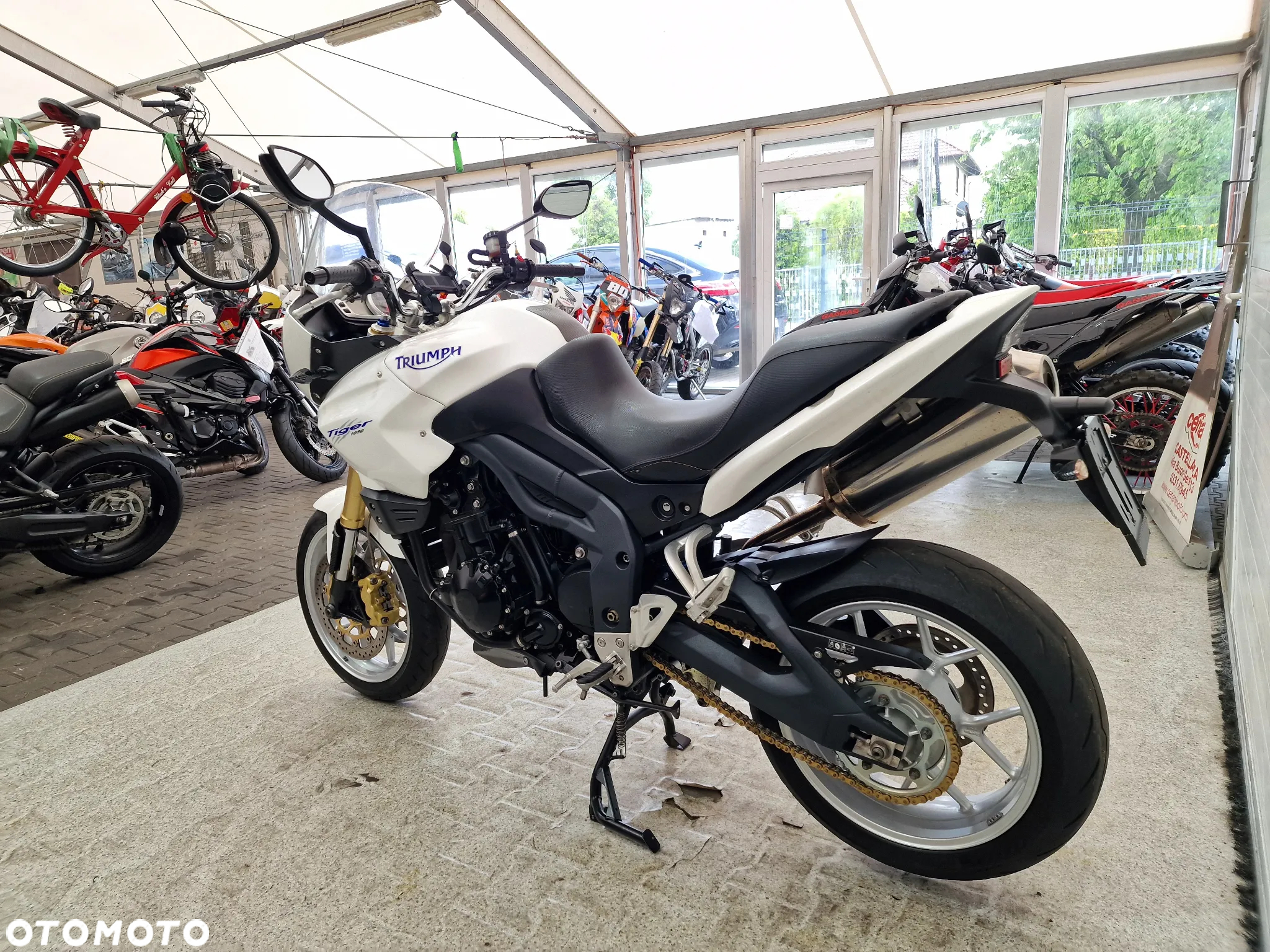 Triumph Tiger - 20