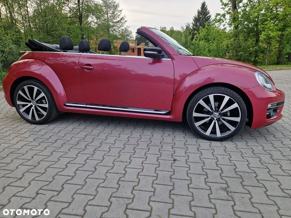 Volkswagen Beetle - 7