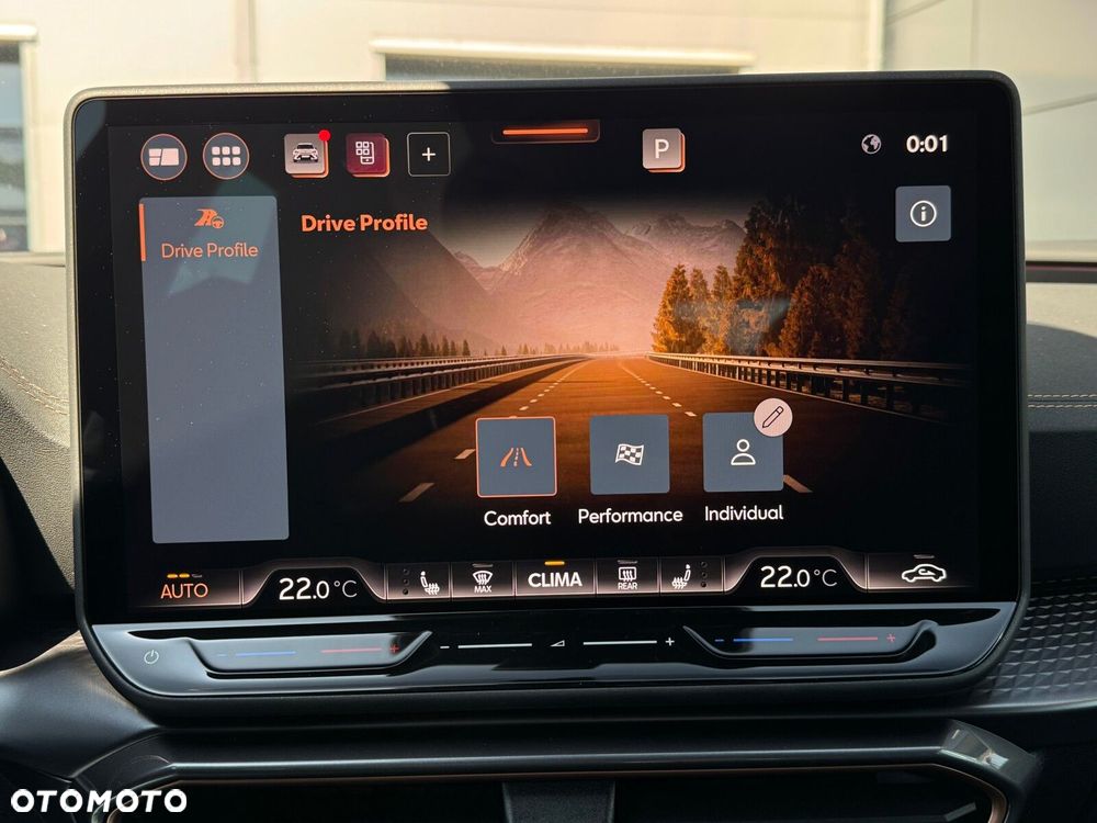 Cupra Formentor 2.0 TDI DSG - 31