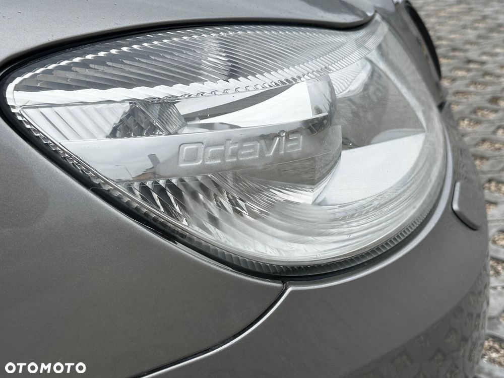 Skoda Octavia - 16