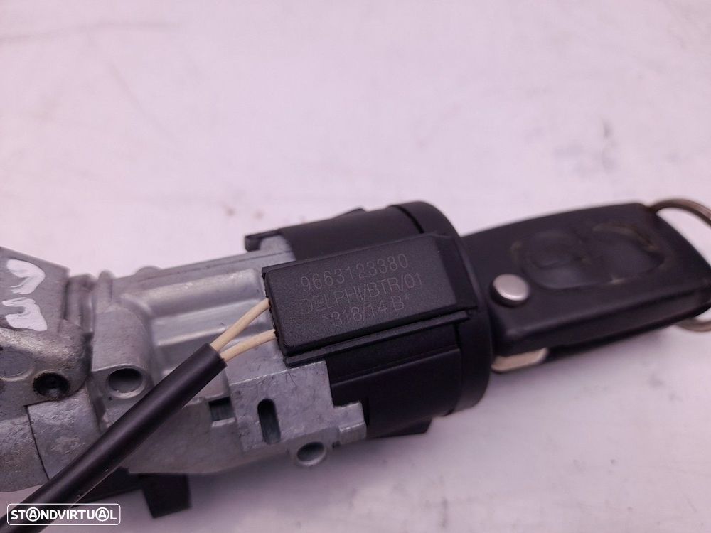 Canhão da ignição CITROËN C3 II (SC_) - 3