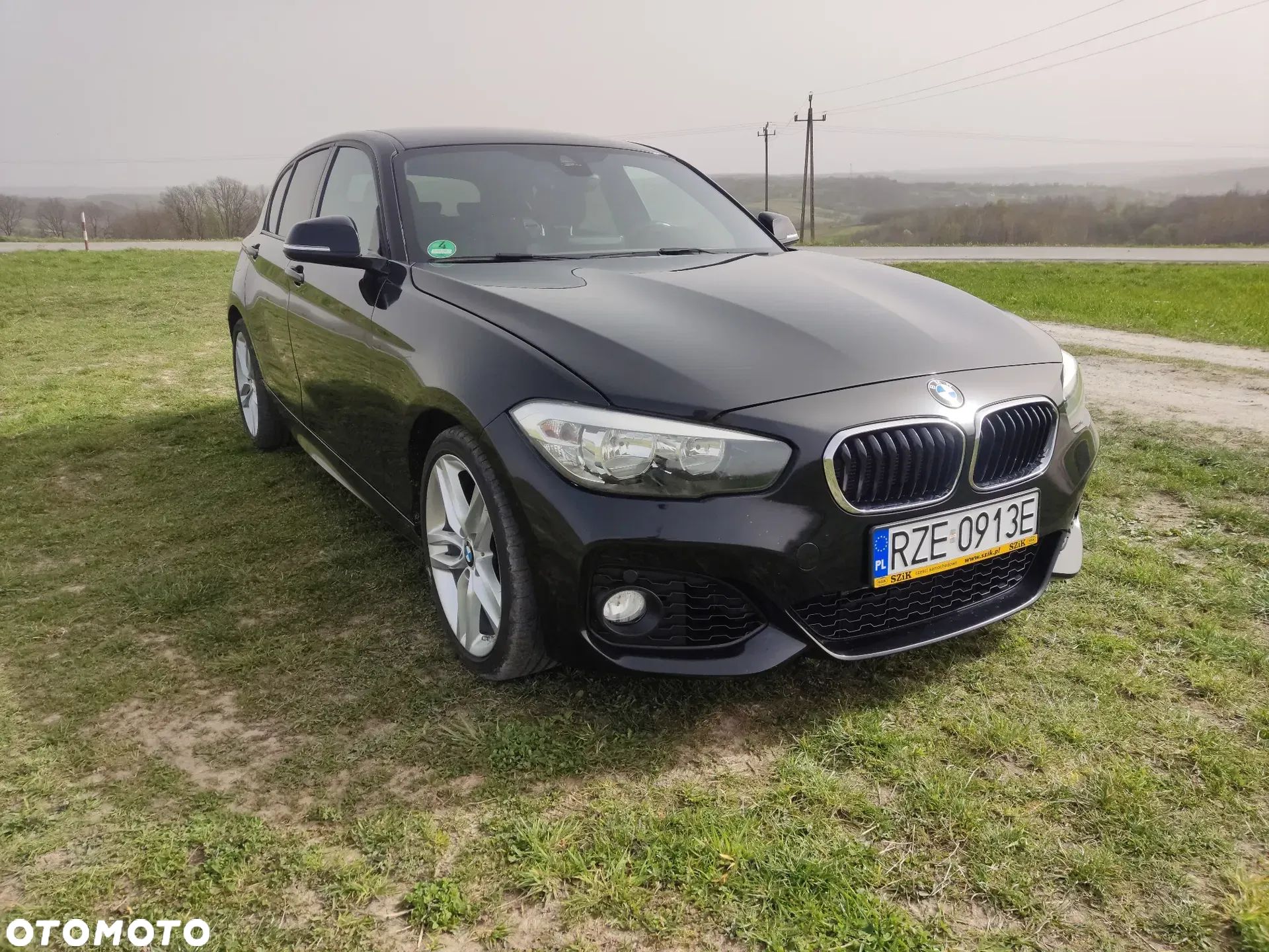 BMW Seria 1 116d M Sport - 1