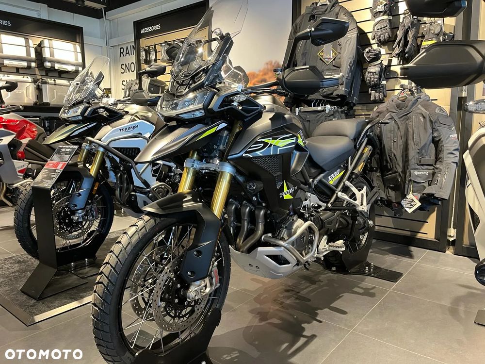 Triumph Tiger - 15