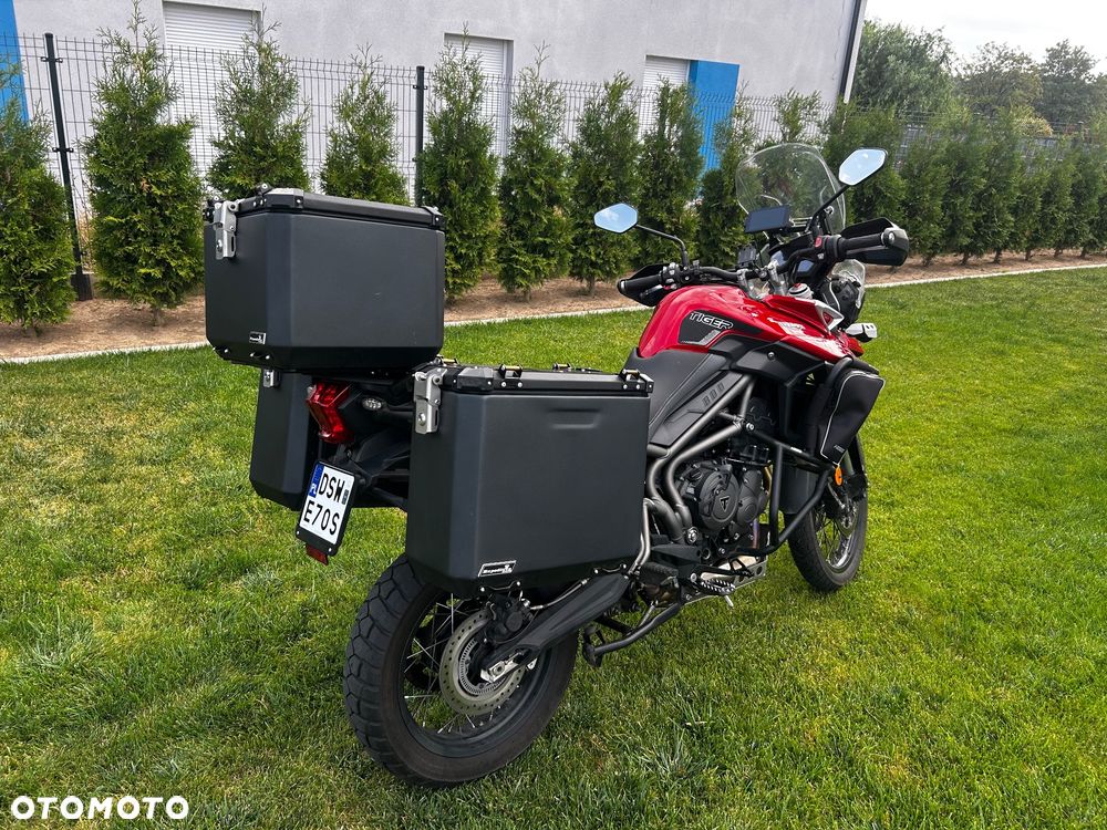 Triumph Tiger - 4