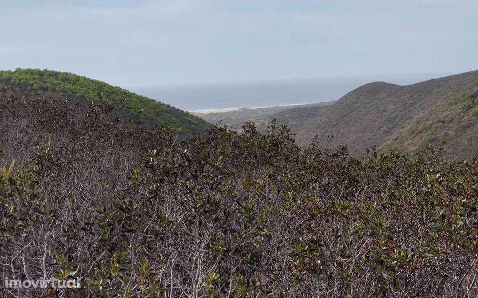 Terreno rústico Carrapateira - Grande imagem: 5/6