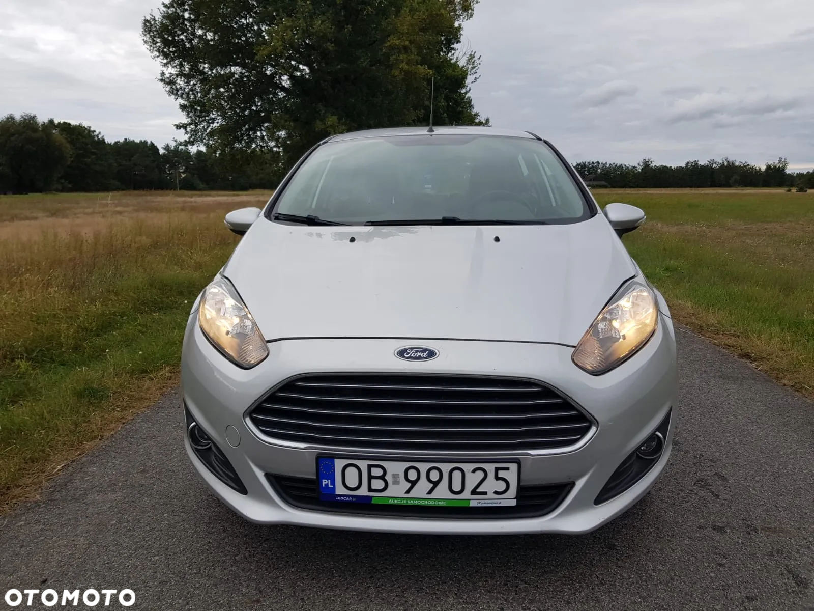 Ford Fiesta - 3