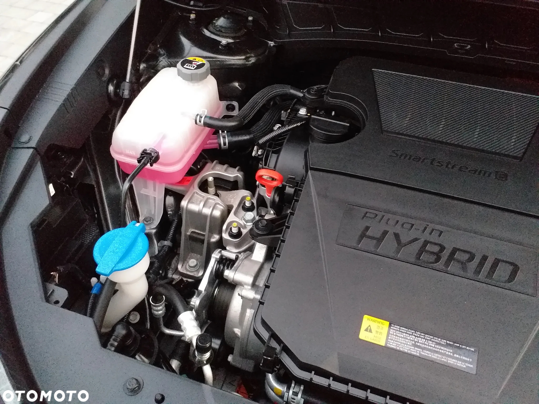 Kia Niro 1.6 GDI Plug-in Hybrid L Business Line - 29