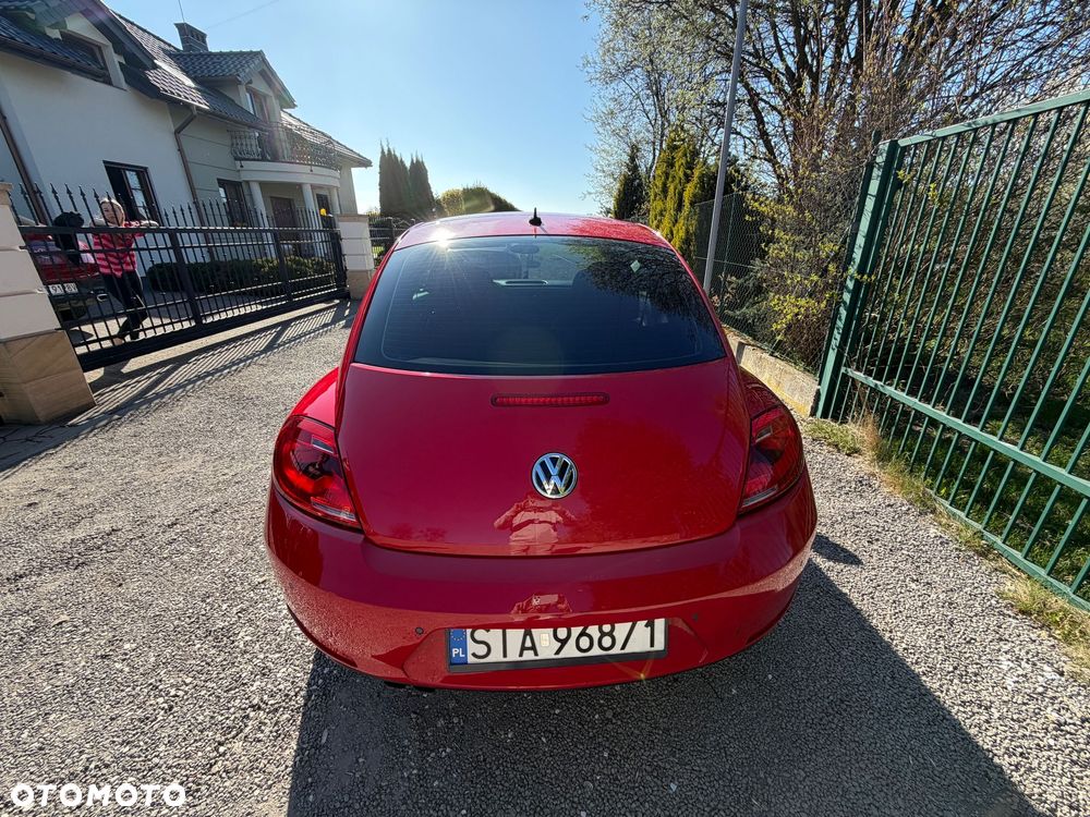 Volkswagen Beetle - 7