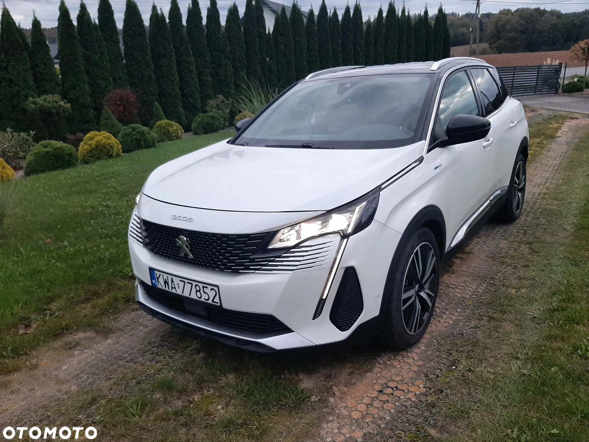 Peugeot 3008 1.6 PureTech Hybrid PHEV GT S&S EAT8 - 14